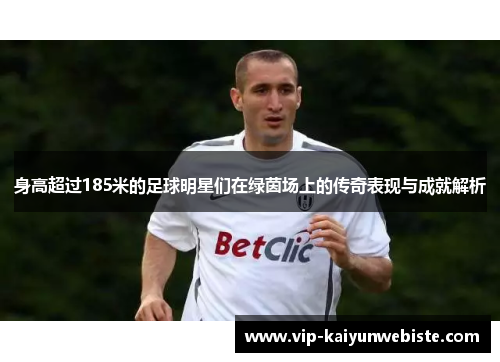 身高超过185米的足球明星们在绿茵场上的传奇表现与成就解析