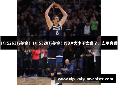 1年5263万美金！1年5328万美金！NBA大小王太难了，库里真香